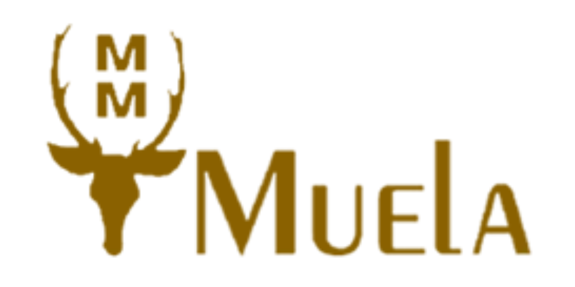 T  MUELA 
